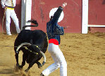 corrida.jpg