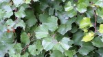 20131015_114558.jpg