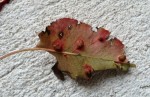 20131015_165626.jpg