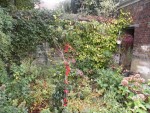 NOVEMBRE 2013