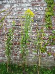 IMG_6257.jpg