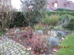 2013-11-05  automne.jpg
