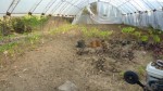 P1010756-small.JPG