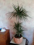 20131111_140611.jpg