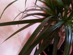 20131111_140602.jpg