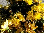 20131111_135622.jpg