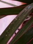 20131111_140602_001.jpg