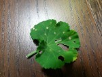 20131111_194611.jpg