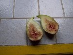 figue 002.jpg