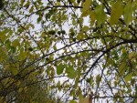 wphoto3.jpg