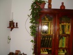 DSCN1108.jpg