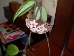 DSCN1107.jpg