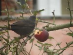 DSC02705.JPG