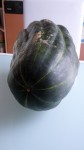 courge de josiane P1020462.jpg