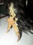IMG_0207 (480x640).jpg