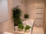 DSCN7037.JPG