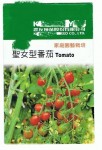 tainan.jpg