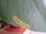 IMG_3213.gif