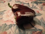 SWEET CHOCOLATE.jpg