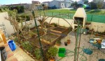 Jardin après.jpg