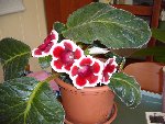 P1020629 R.jpg