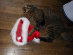 IMGP0118.JPG