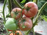 DSC04532.JPG