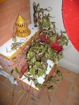 dipladenia2.jpg
