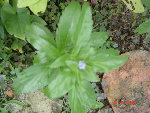 DSC04548.JPG