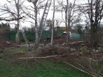 DSCF3361.JPG