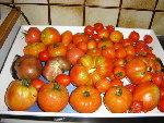DSC04549.JPG