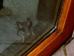 Img_0006_01.JPG