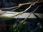 rps20140113_171149.jpg