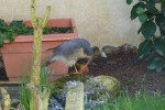 P1060115-1.jpg