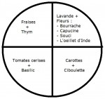 Sans titre.jpg