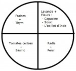 Sans titre.jpg
