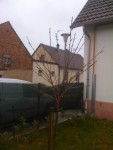 voici mon pechier