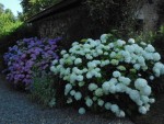 DSCN0722.JPG