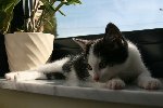 IMG_1697 800x600.jpg