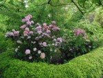 DSCN0755.JPG