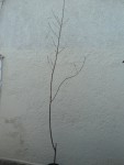 DSC05565.JPG