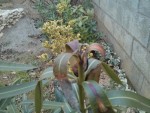 IMG_20140220_154930.jpg