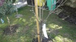 DSC02442.JPG