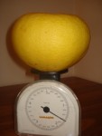 pomelo un kg six cent.JPG