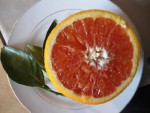 DSC05752.JPG