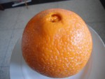 DSC05733.JPG
