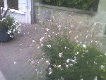Photo0038.jpg