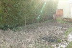 futur potager.JPG