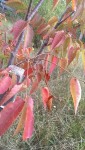 IMAG0334.jpg