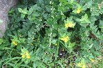 IMG_8000-2.jpg